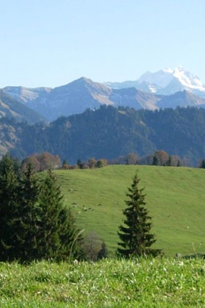 Wandern und spazieren